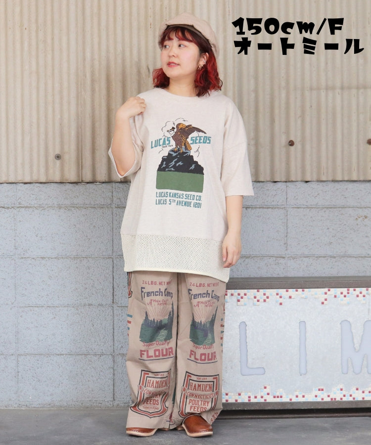 【春新作】裾メッシュTシャツ/25042610