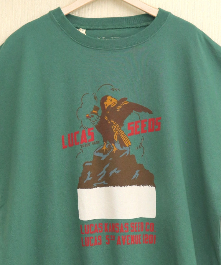 【春新作】裾メッシュTシャツ/25042610
