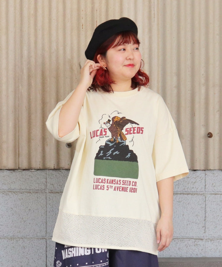 【春新作】裾メッシュTシャツ/25042610