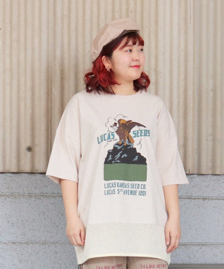 【春新作】裾メッシュTシャツ/25042610