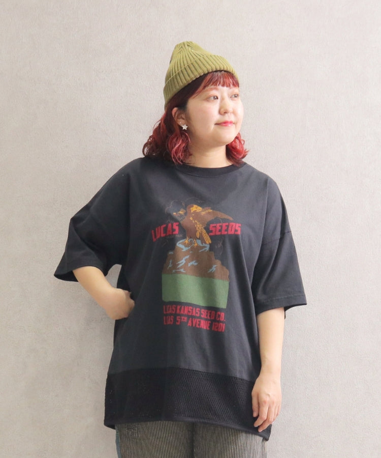 【新作】裾メッシュTシャツ/25042610